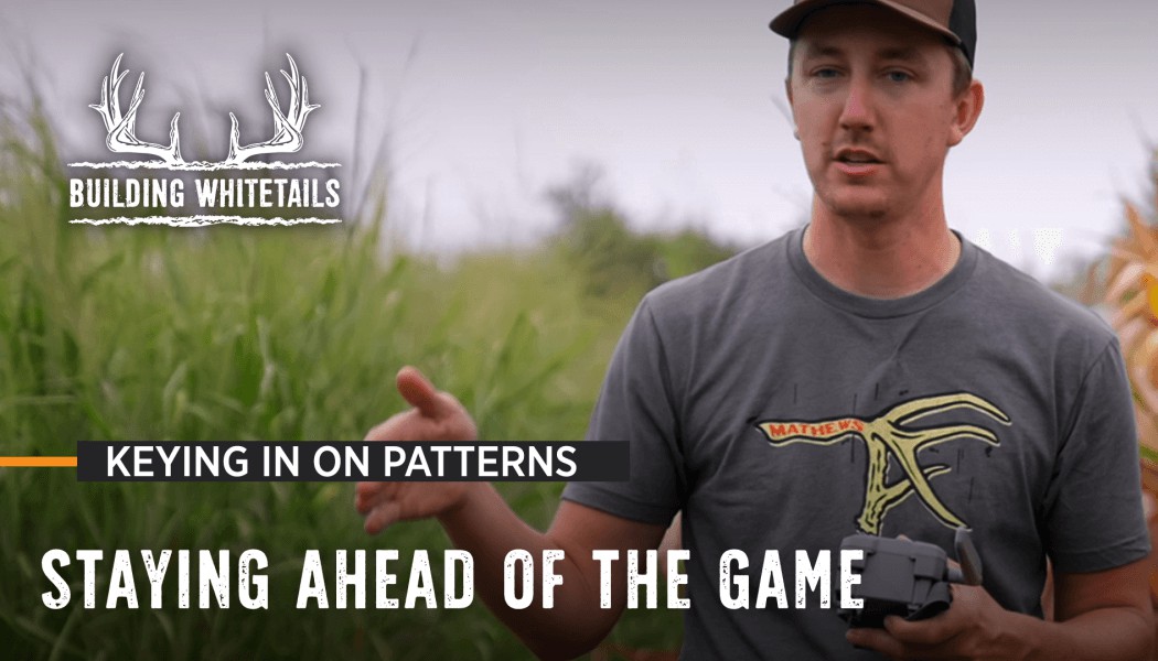 Staying Ahead of the Game | Building Whitetails