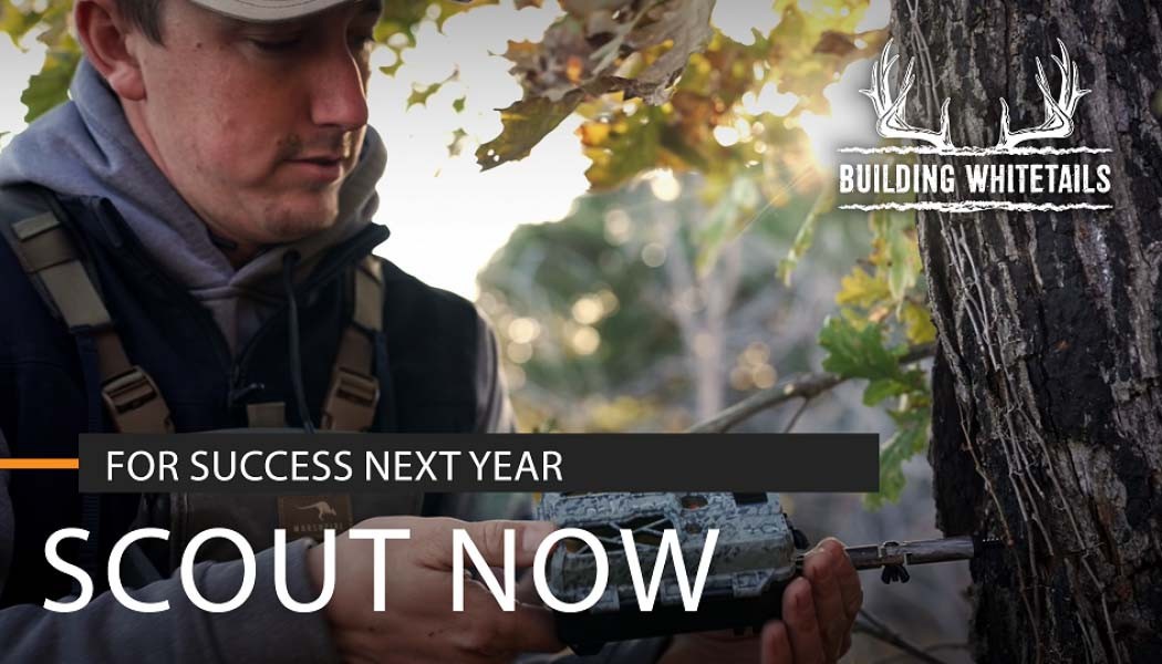 Scout for Next Hunting Season Right Now