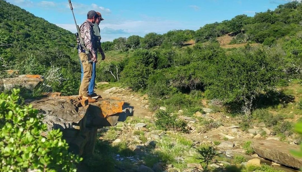 So you Want to Hunt Africa?