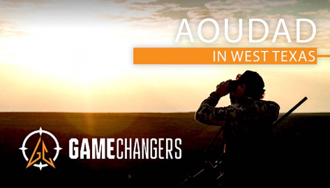 Hunting Aoudad in West Texas