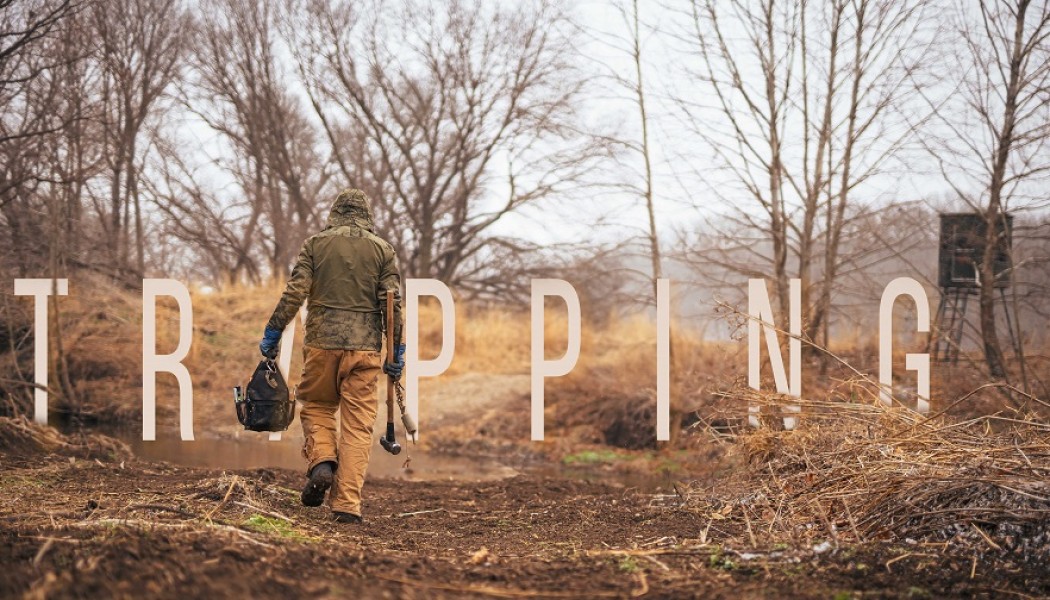 Building Whitetails - How to Trap Raccoons and Coyotes