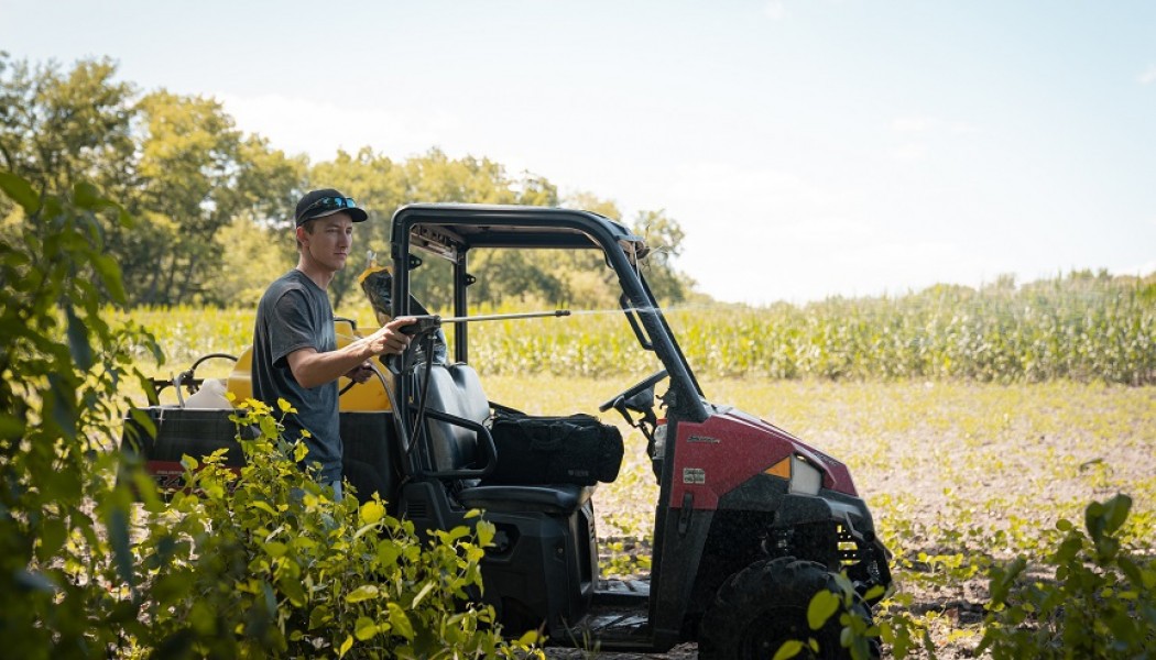 How to Stop Some of the Most Invasive Plants in the United States