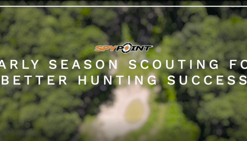 Early Season Scouting with Purpose for a Better Hunting Season