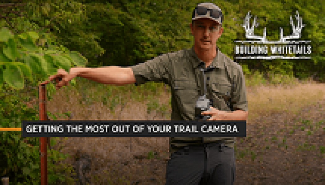 3 Tips for Getting the Most Out of Your Trail Cameras | Building Whitetails