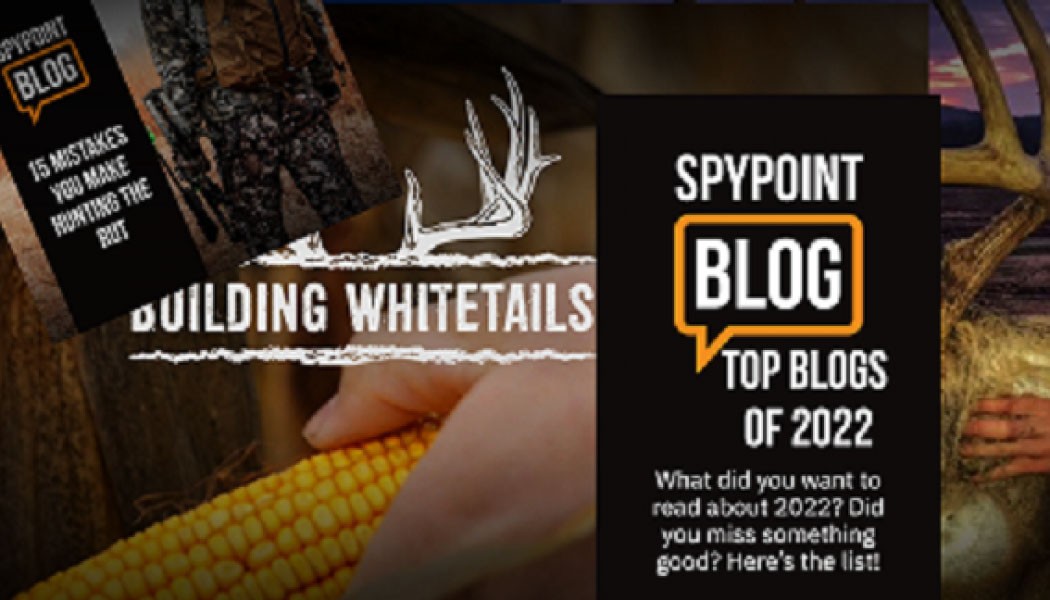 The Top Blogs of 2022