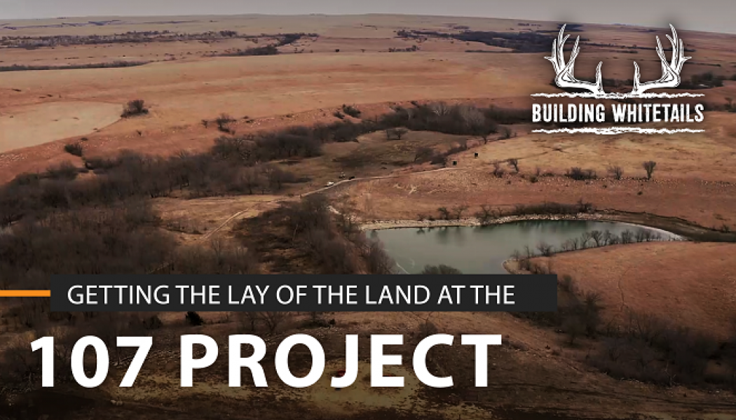 Introducing The 107 Project | Building Whitetails