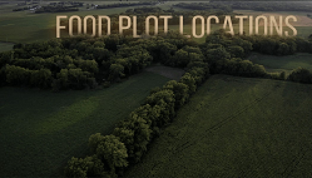 Building Whitetails - Designing Fall Food Plots