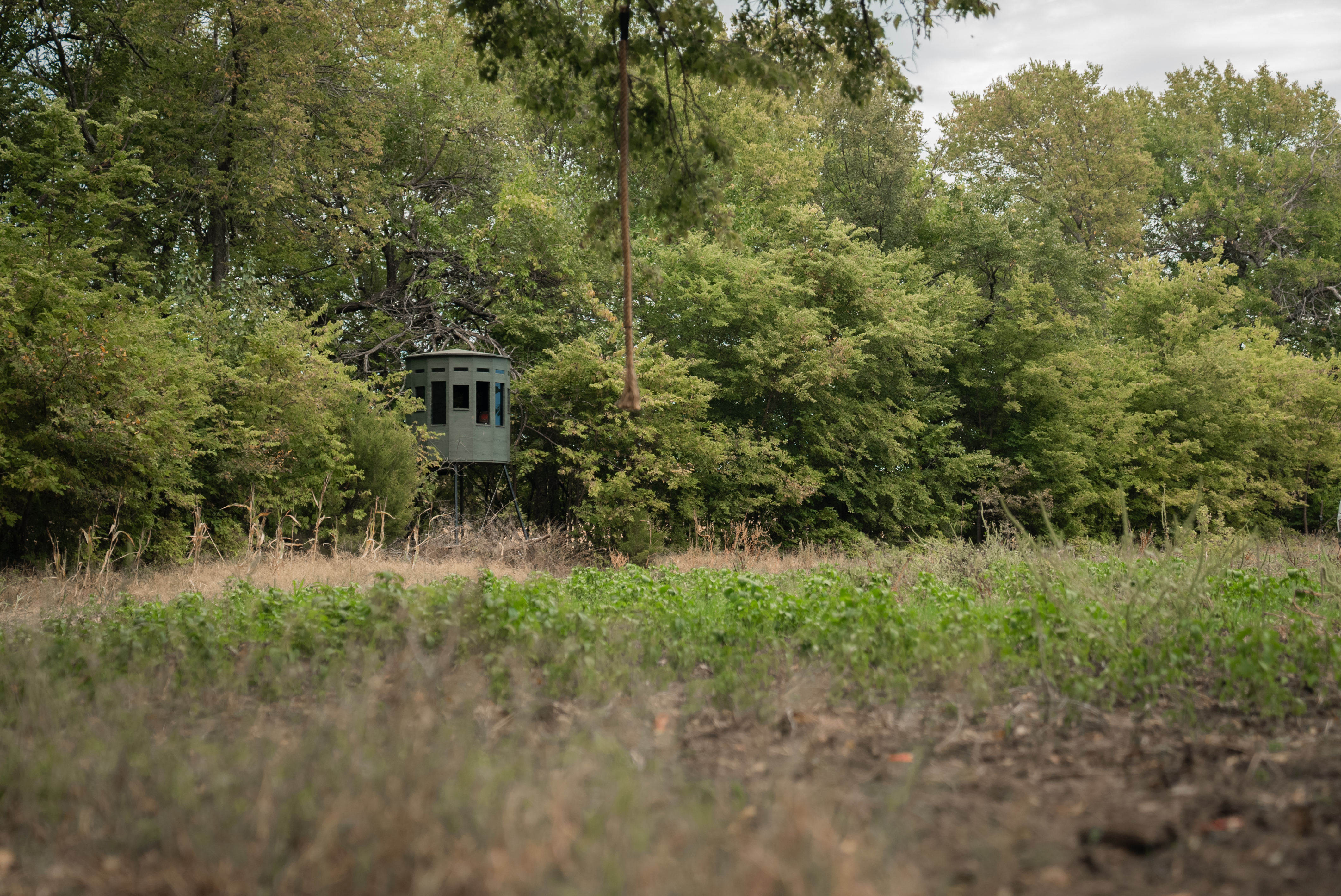 Combattre l’ennui pendant l’affût