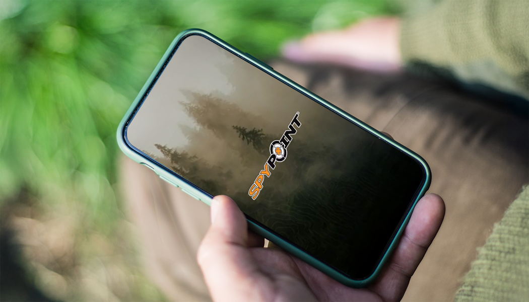 Les données que vous voulez, comme vous les voulez : Nouvelles fonctionnalités de l'application SPYPOINT sont disponibles