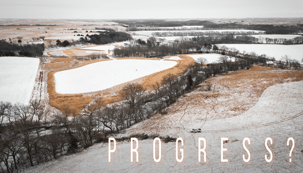 Building Whitetails - Progress in "The Runway?"