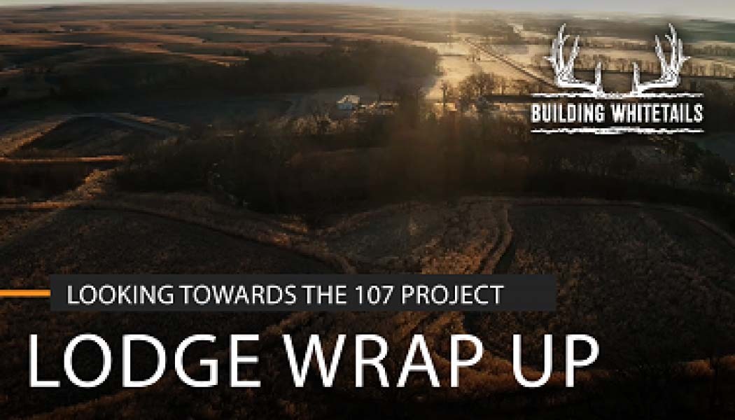 Wrapping Up The Lodge & Looking Forward to the 107 Project