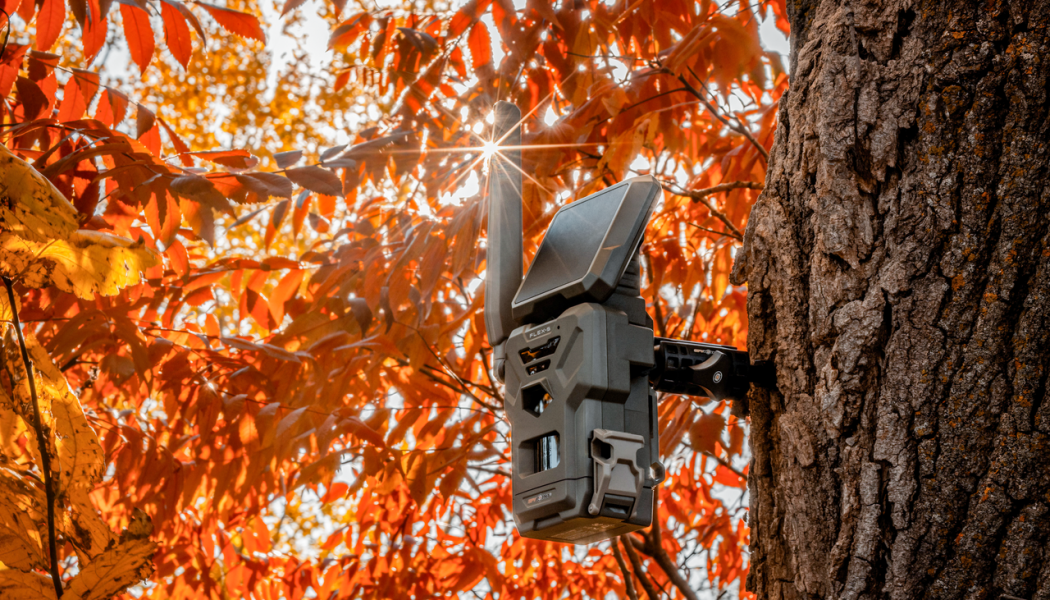 Trois Fa&ccedil;ons d'Am&eacute;liorer Votre Chasse Avec les Cam&eacute;ras Solaires