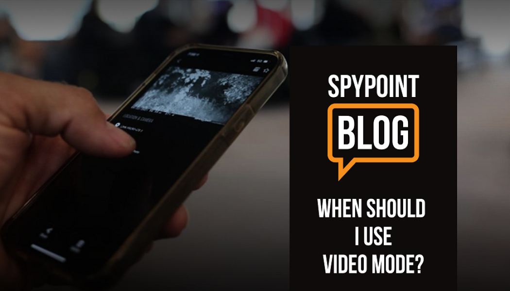 Quand devez-vous utiliser le mode vid&eacute;o de votre cam&eacute;ra de chasse?