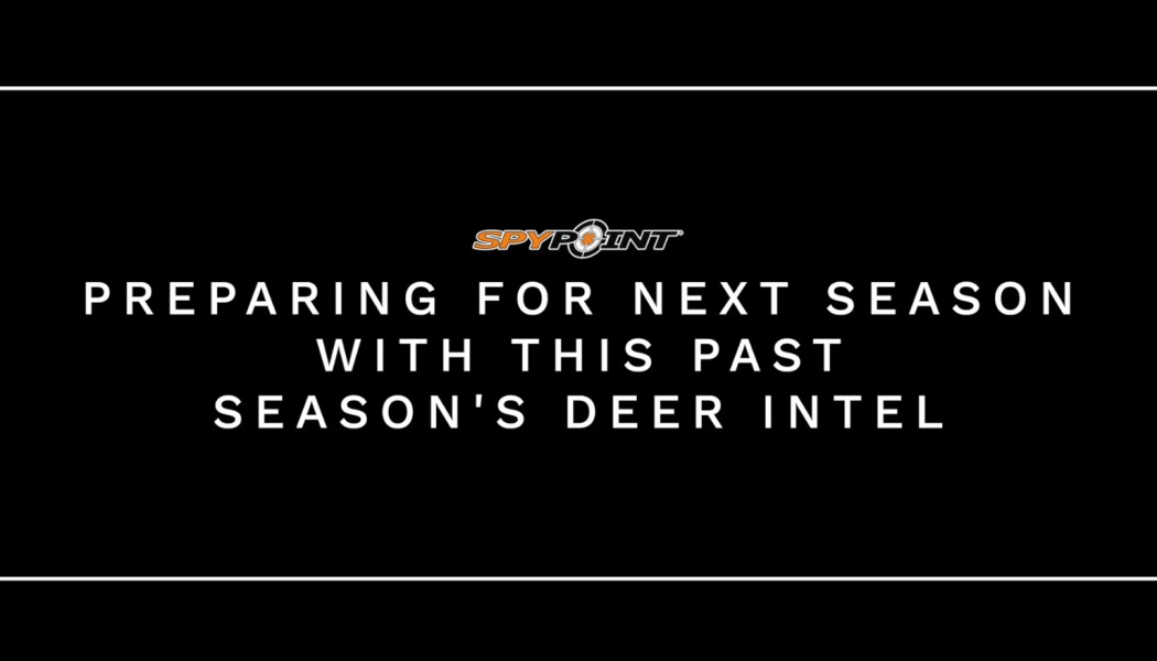 How to Use Past Season Deer Intel