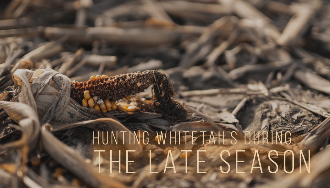 How to Hunt Late Season Whitetails | Building Whitetails