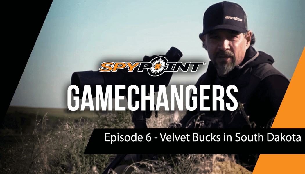 GameChangers - Velvet Bucks in South Dakota