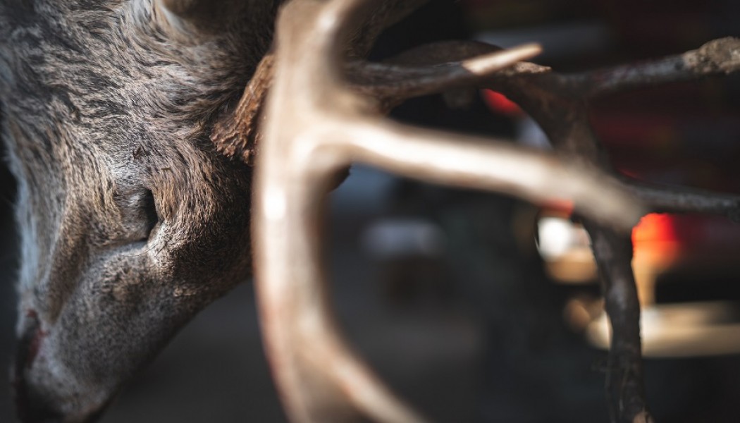 Comment &eacute;valuer sa saison de chasse