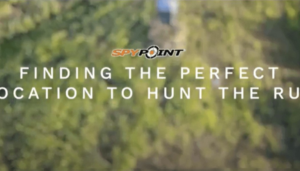 Where Should You Hunt During the Rut?