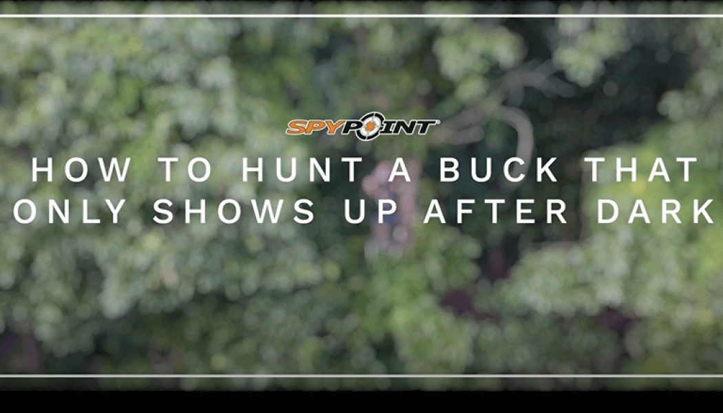 How to Hunt Bucks That Show Up After Dark
