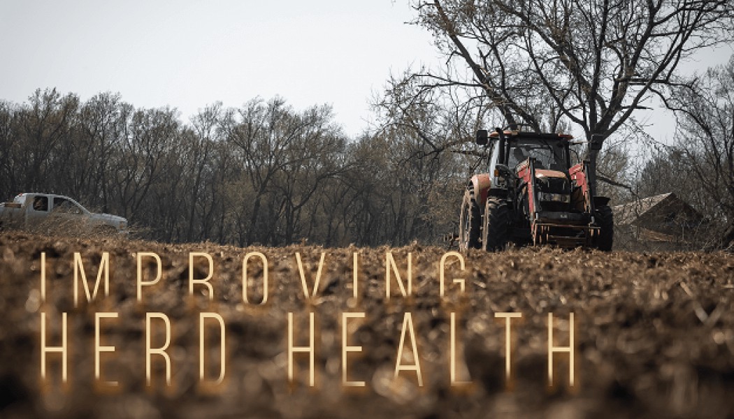 Building Whitetails - How to Choose and Establish a Mineral Site