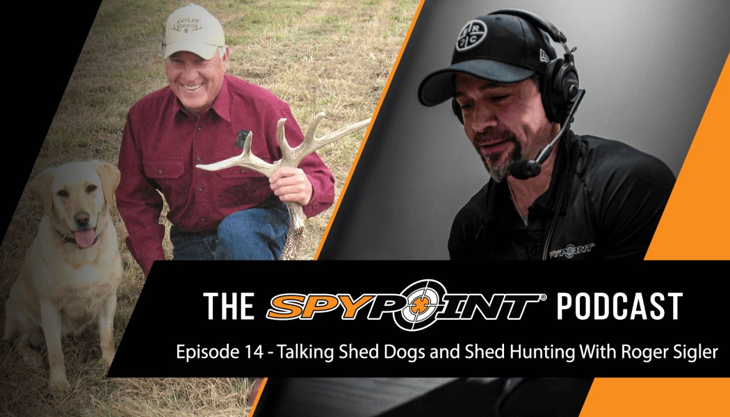 Shed Dogs and Shed Hunting with Roger Sigler - The SPYPOINT Podcast