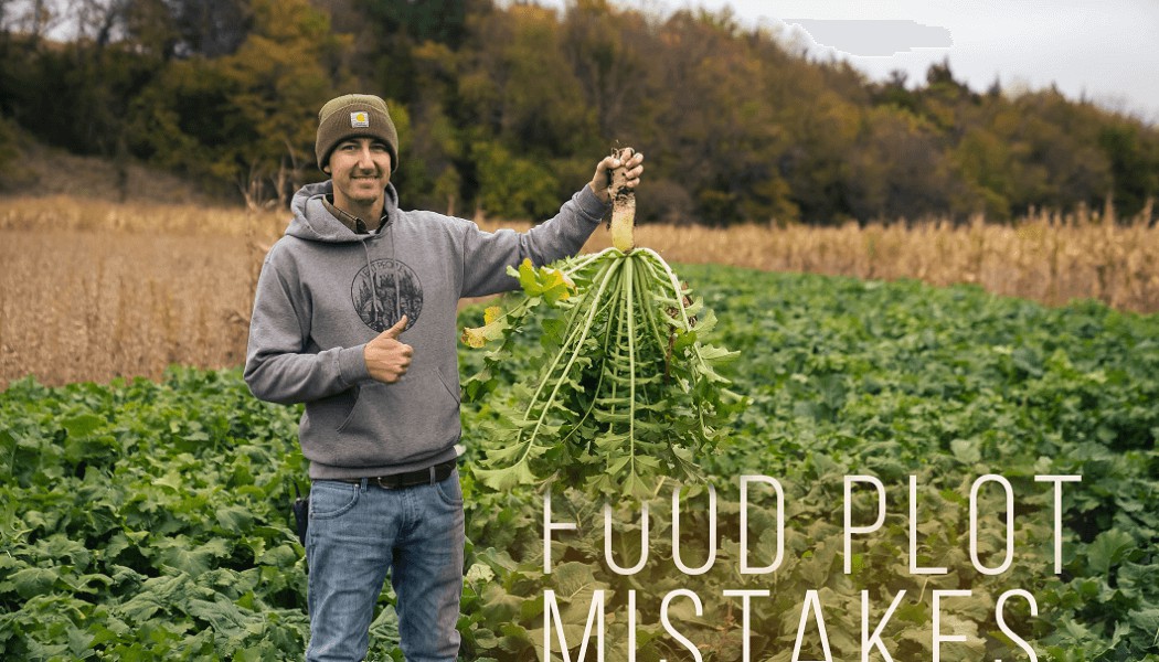 July Food Plot Mistakes | Building Whitetails