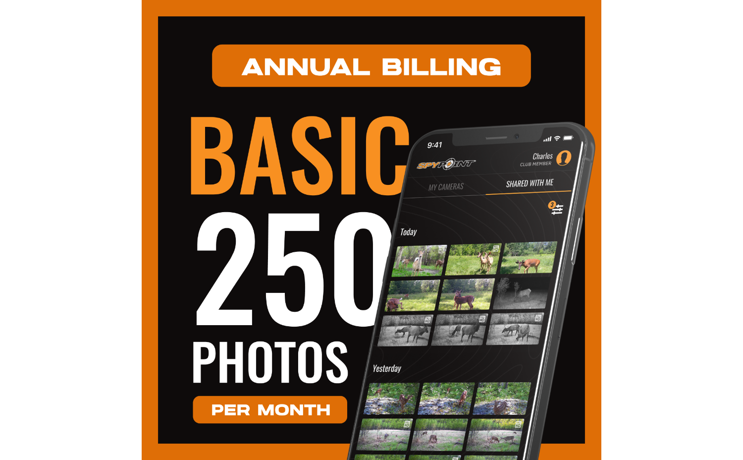 Basic Plan - Annual