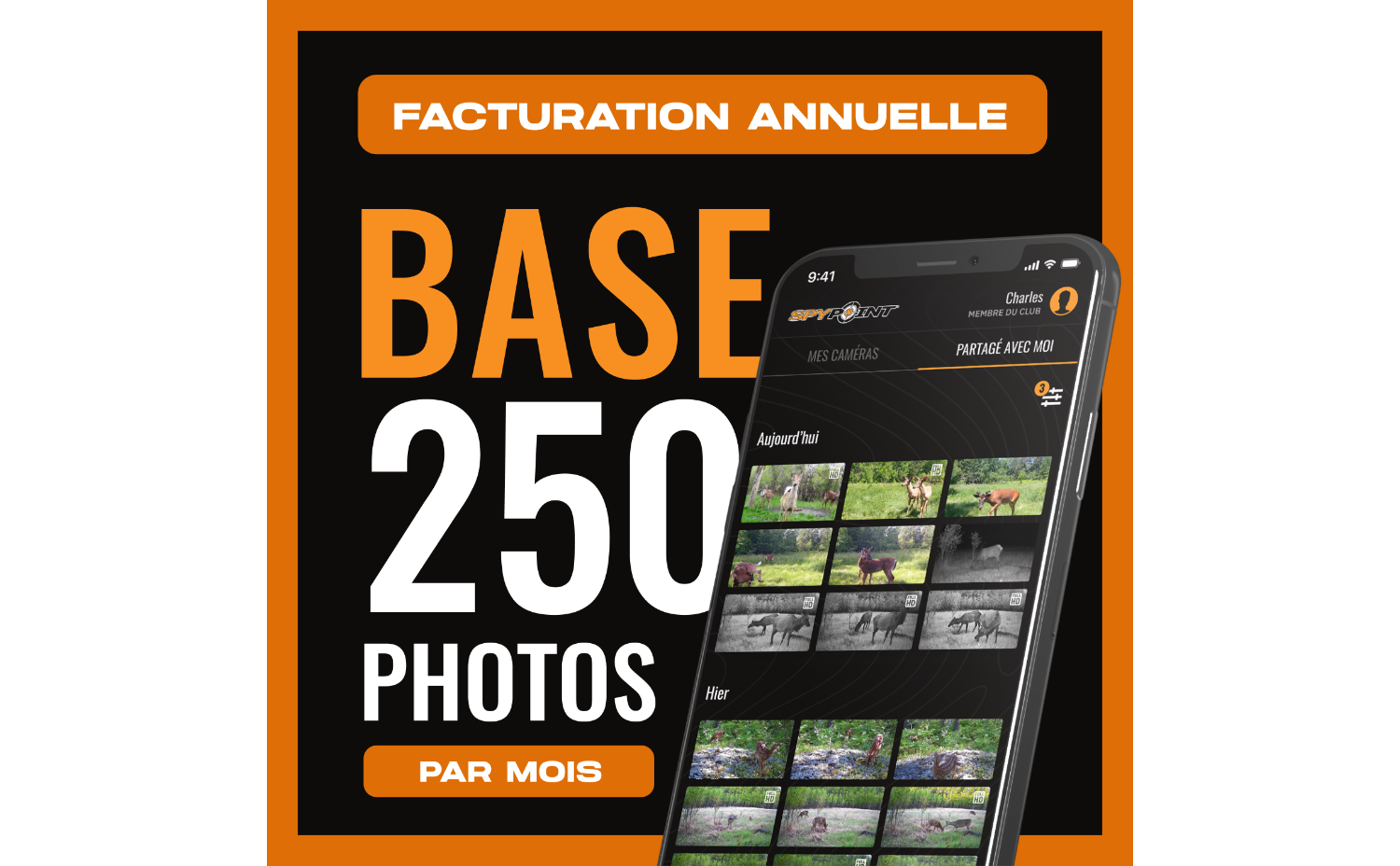 Forfait Base - Annuel
