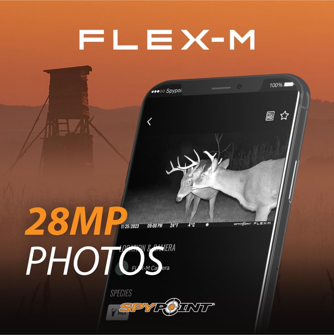 FLEX-M 4 PACK