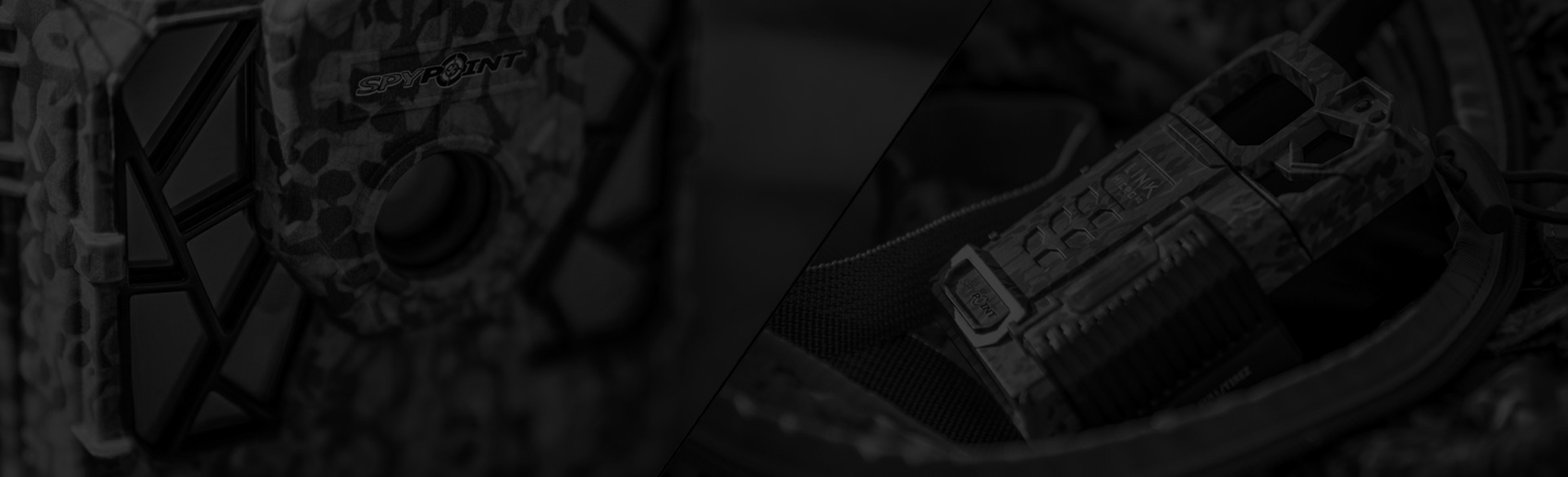 Page Banner