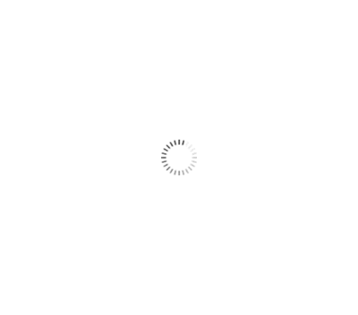 LINK-MICRO-LTE PRE-OWNED-V