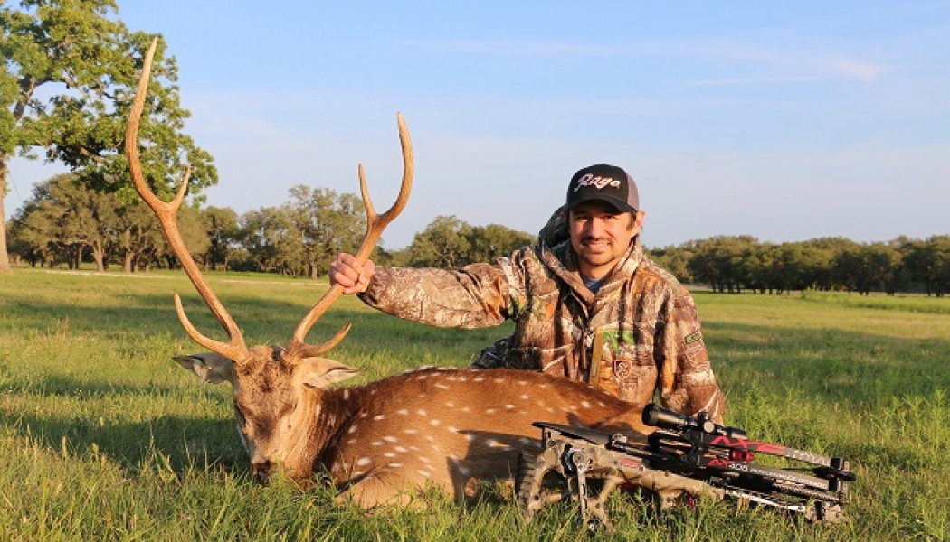 10 Tips for Hunting Axis Deer