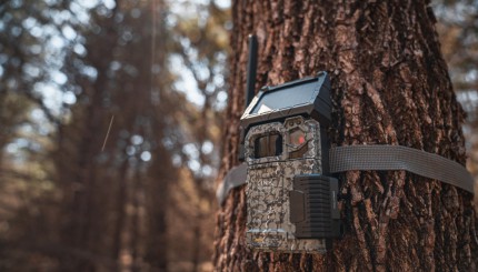 Est-ce que les caméras de chasse cellulaires peuvent sauver des vies ?