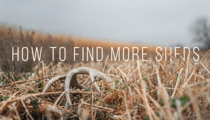 How to Find More Sheds | Building Whitetails