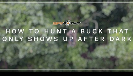 How to Hunt Bucks That Show Up After Dark