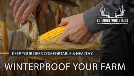 How to Winter Proof your Farm | Building Whitetails