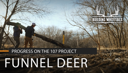 How to Funnel Deer Movement | Building Whitetails
