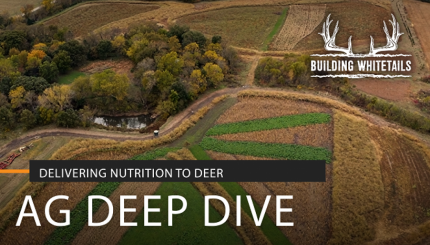 Agriculture and Deer Nutrition Deep Dive | Building Whitetails