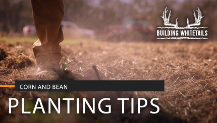 Tips from a Farmer to Improve Food Plots | Building Whitetails