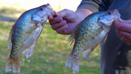 50 Spring Fishing Tips for Big-Time Fun