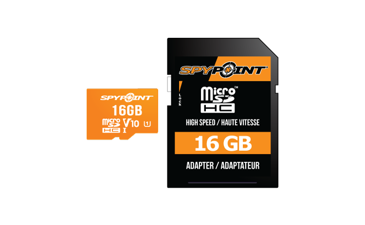 MicroSD 16 GB card
