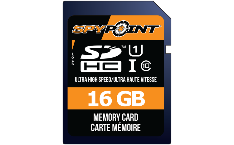 16GB SD card
