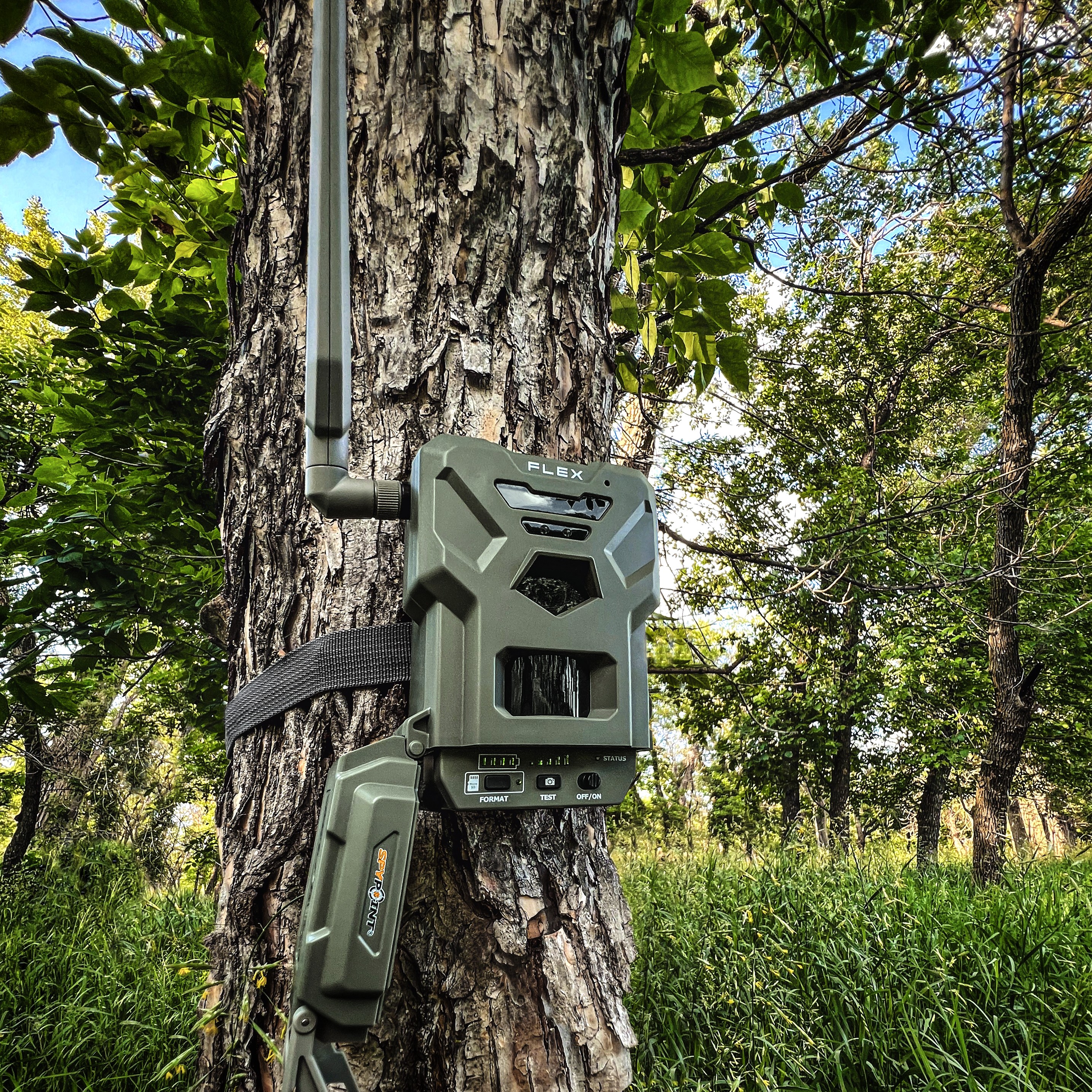 Flex camera on tree